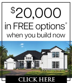 $20,000 in free options